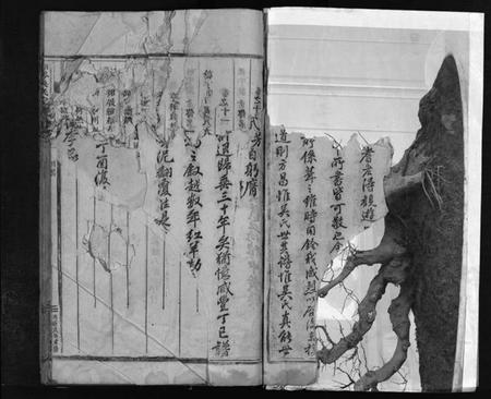 浙江吴氏族谱-南岑吴氏宗谱 [40卷,及卷末].pdf电子版插图3