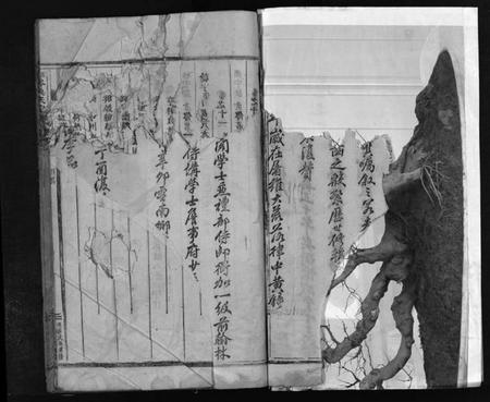 浙江吴氏族谱-南岑吴氏宗谱 [40卷,及卷末].pdf电子版插图4