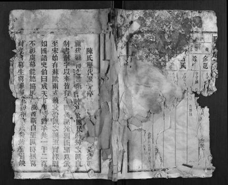 湖南陈氏族谱-陈氏族谱.pdf电子版插图