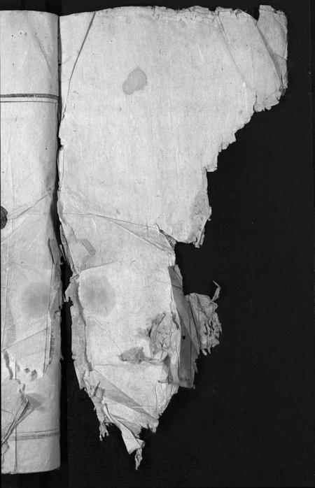 浙江仇氏族谱-南阳仇氏宗谱 [2卷].pdf电子版插图1