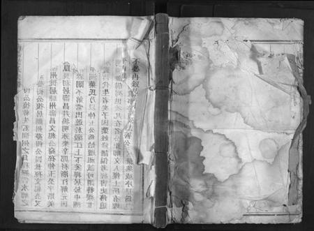 浙江叶氏族谱-南阳叶氏宗谱[10卷].pdf电子版