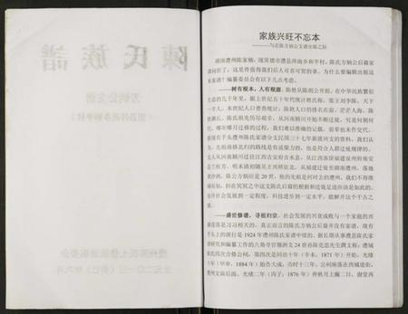 湖南陈氏族谱-陈氏族谱.芳炳公支谱.pdf电子版插图2