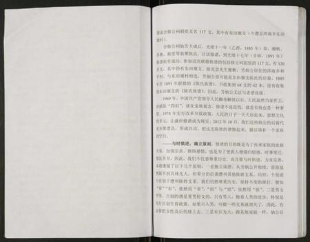 湖南陈氏族谱-陈氏族谱.芳炳公支谱.pdf电子版插图3