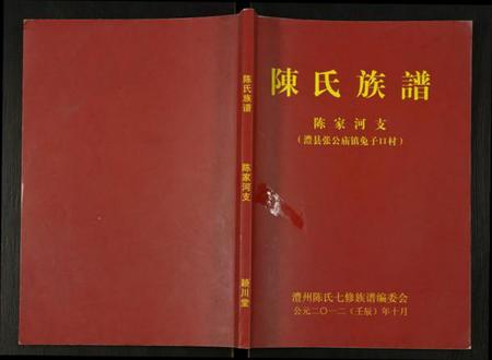 湖南陈氏族谱-陈氏族谱.陈家河支.pdf电子版插图