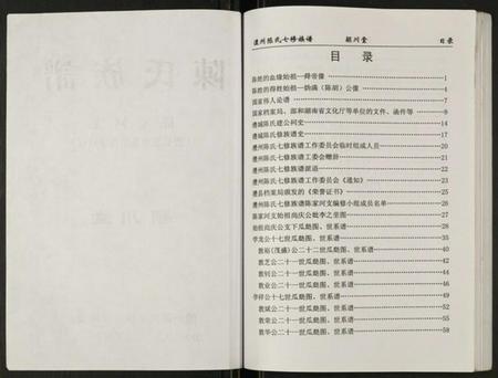 湖南陈氏族谱-陈氏族谱.陈家河支.pdf电子版插图2