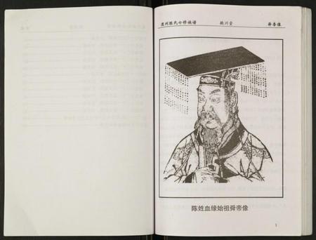 湖南陈氏族谱-陈氏族谱.陈家河支.pdf电子版插图4
