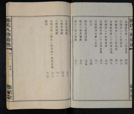 湖南陈氏族谱-陈氏八修房谱 [残存卷12].pdf电子版插图2