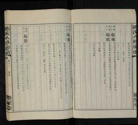 湖南陈氏族谱-陈氏八修房谱 [残存卷12].pdf电子版插图4
