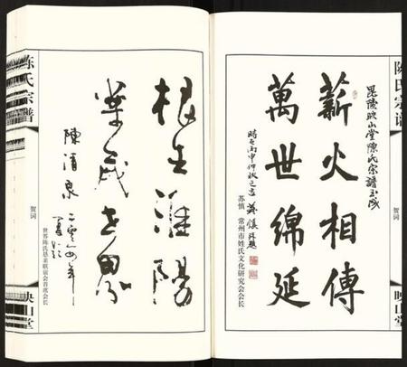 江苏陈氏族谱-陈氏宗谱.pdf电子版插图3