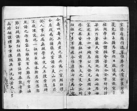 浙江张氏族谱-吴宁托塘张氏宗谱 [残卷].pdf电子版插图3