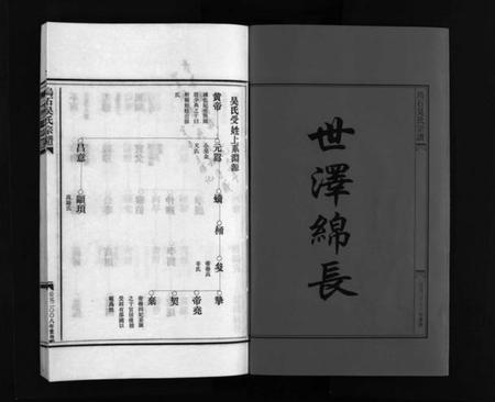 浙江吴氏族谱-吴氏宗谱 [4卷].pdf电子版插图2
