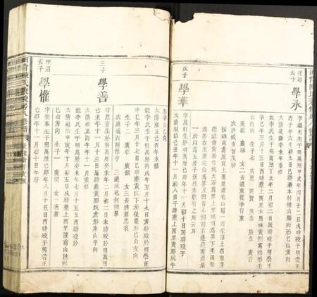 江西陈氏族谱-田背陈氏秉俊房八修谱.pdf电子版插图3