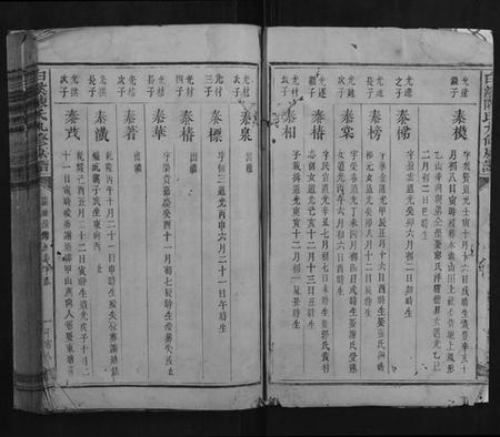 江西陈氏族谱-白溪陈氏九修族谱.pdf电子版插图2