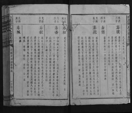 江西陈氏族谱-白溪陈氏九修族谱.pdf电子版插图3