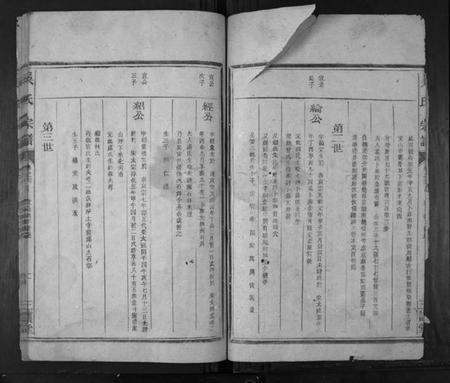 浙江吴氏族谱-吴氏宗谱[4卷首1卷].pdf电子版插图2