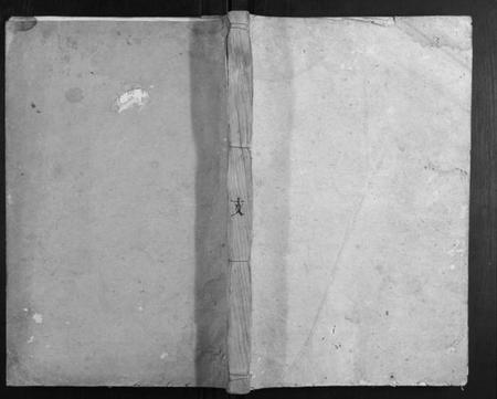 湖南戴氏族谱-戴氏族谱.pdf电子版