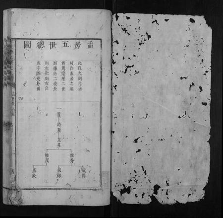 江西陈氏族谱-石城学上陈氏族谱.pdf电子版插图1