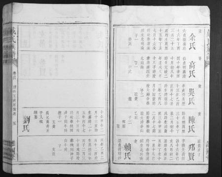 湖南戴氏族谱-戴氏族谱.pdf电子版插图3