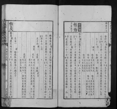 江西陈氏族谱-石城学上陈氏族谱.pdf电子版插图4