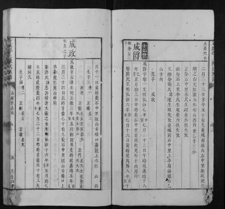 江西陈氏族谱-石城学上陈氏族谱.pdf电子版插图5