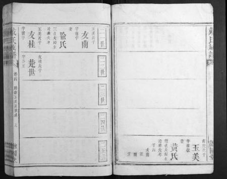 湖南戴氏族谱-戴氏族谱.pdf电子版插图5