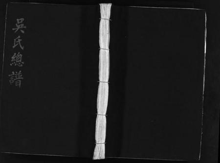 浙江吴氏族谱-吴氏总谱 [不分卷].pdf电子版