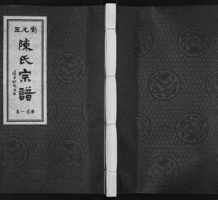 江苏陈氏族谱-陈氏宗谱[3卷].pdf电子版插图