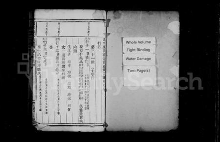 浙江金氏族谱-吕前金氏宗谱 [残卷].pdf电子版插图2