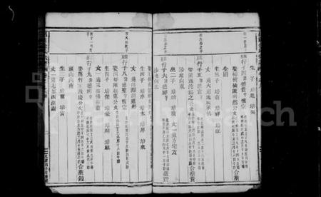 浙江金氏族谱-吕前金氏宗谱 [残卷].pdf电子版插图3