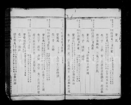 浙江金氏族谱-吕前金氏宗谱 [残卷].pdf电子版插图2