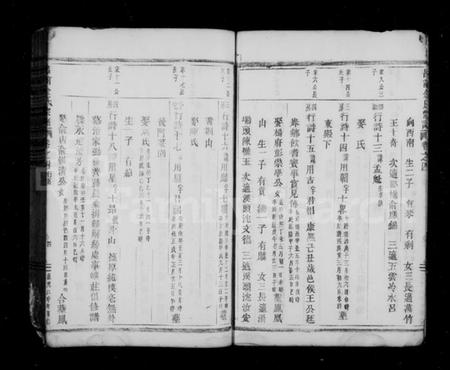 浙江金氏族谱-吕前金氏宗谱 [残卷].pdf电子版插图4