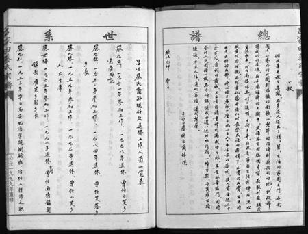 浙江蔡氏族谱-吕家田蔡氏宗谱 [4卷].pdf电子版插图2