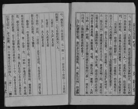 江苏陈氏族谱-陈氏宗谱[不分卷].pdf电子版插图2