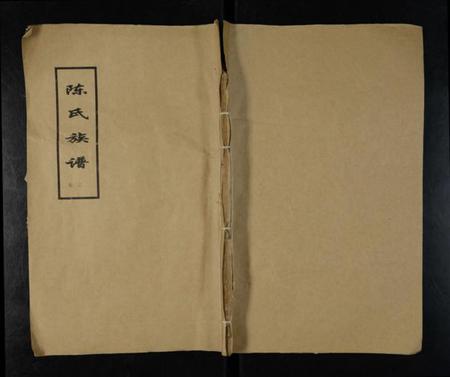 江苏陈氏族谱-陈氏族谱 [存3卷].pdf电子版插图
