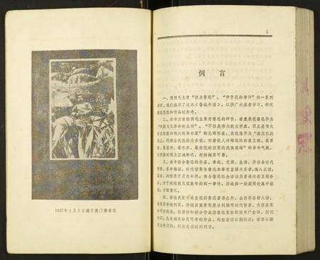 浙江周氏族谱-[周氏]鲁迅年谱.pdf电子版插图4