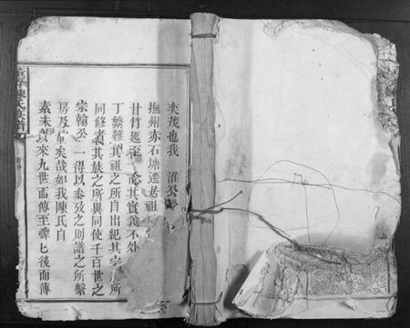 江西陈氏族谱-董坪陈氏族谱[12卷].pdf电子版