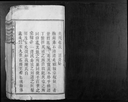 江西陈氏族谱-董坪陈氏族谱[12卷].pdf电子版插图1