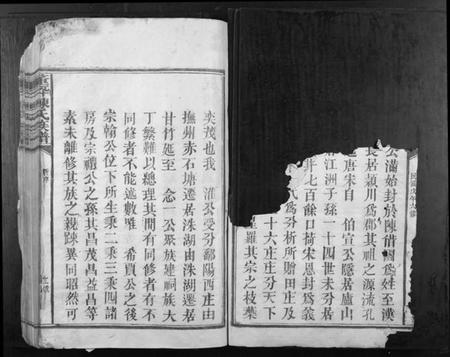 江西陈氏族谱-董坪陈氏族谱[12卷].pdf电子版插图2