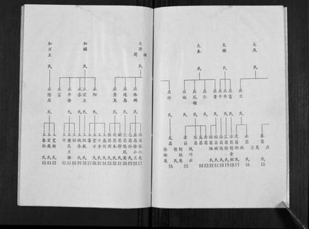 江苏陈氏族谱-陈氏族谱[不分卷].pdf电子版插图4