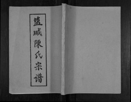 江苏陈氏族谱-盐城陈氏宗谱.pdf电子版插图