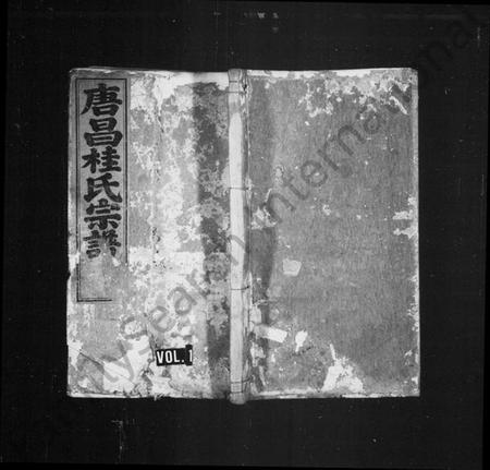 浙江桂氏族谱-唐昌桂氏宗谱 [4卷,首末各1卷].pdf电子版插图