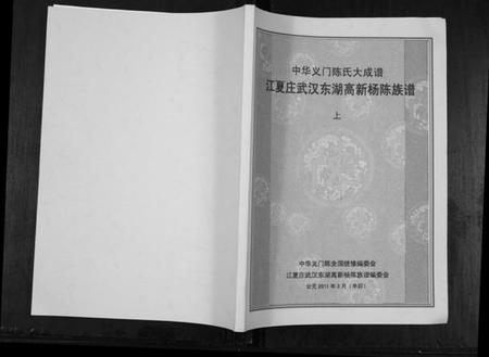湖北陈氏族谱-中华义门陈氏大成谱.pdf电子版