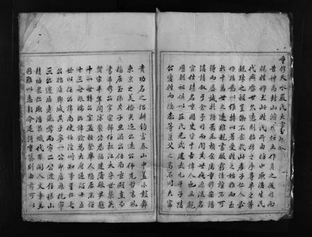 浙江严氏族谱-严氏宗谱 [不分卷].pdf电子版插图4