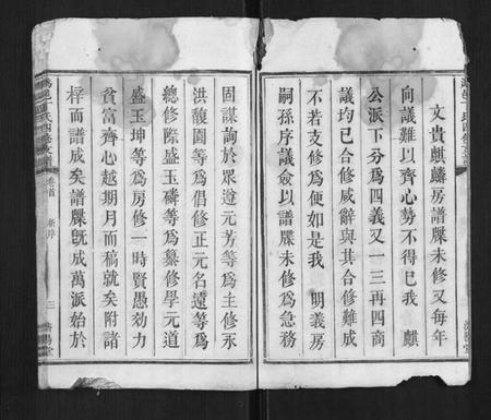湖南丁氏族谱-潙邑丁氏四修支谱[4卷].pdf电子版插图3