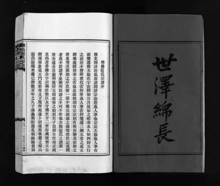 浙江严氏族谱-严氏宗谱 [残卷].pdf电子版插图2