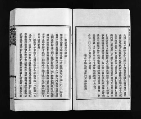 浙江严氏族谱-严氏宗谱 [残卷].pdf电子版插图3