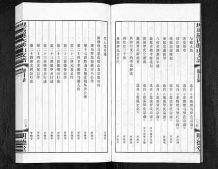 浙江罗氏族谱-埋马罗氏胜山支谱[6卷].pdf电子版插图4