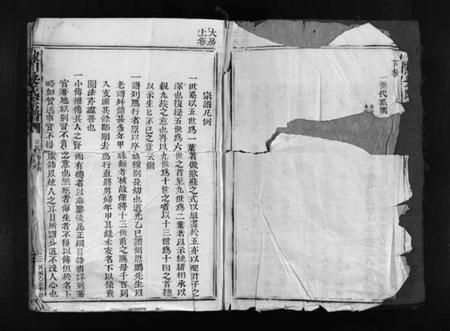 浙江吴氏族谱-埭川吴氏宗谱 [2卷].pdf电子版插图2