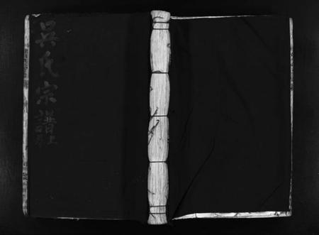 浙江吴氏族谱-埭川吴氏宗谱 [2卷].pdf电子版插图1