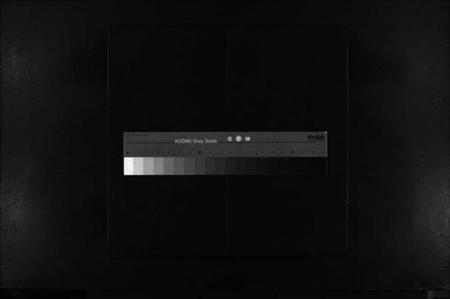 浙江吴氏族谱-埭川吴氏宗谱 [不分卷].pdf电子版